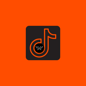 As Seen on Tik Tok